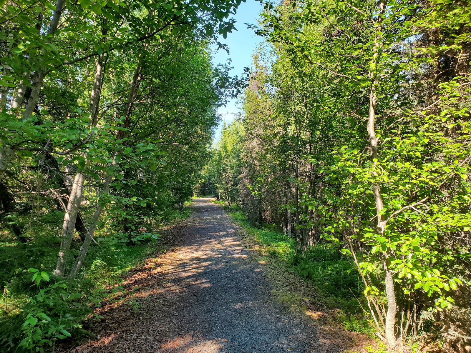 Morgans Landing State Recreation Site on Kenai River