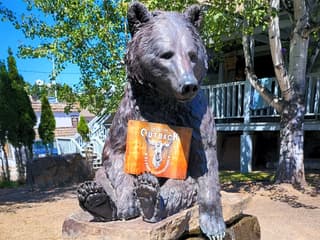 Cadre montagneux Fernie RV Resort