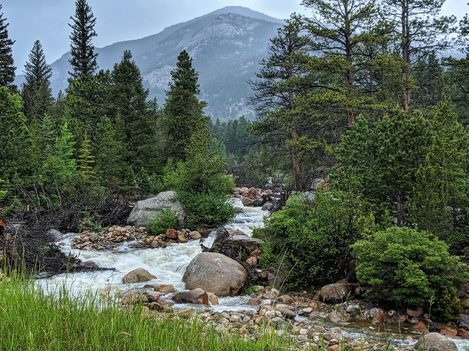 Aspenglen Campground inside Rocky Mountain National Park