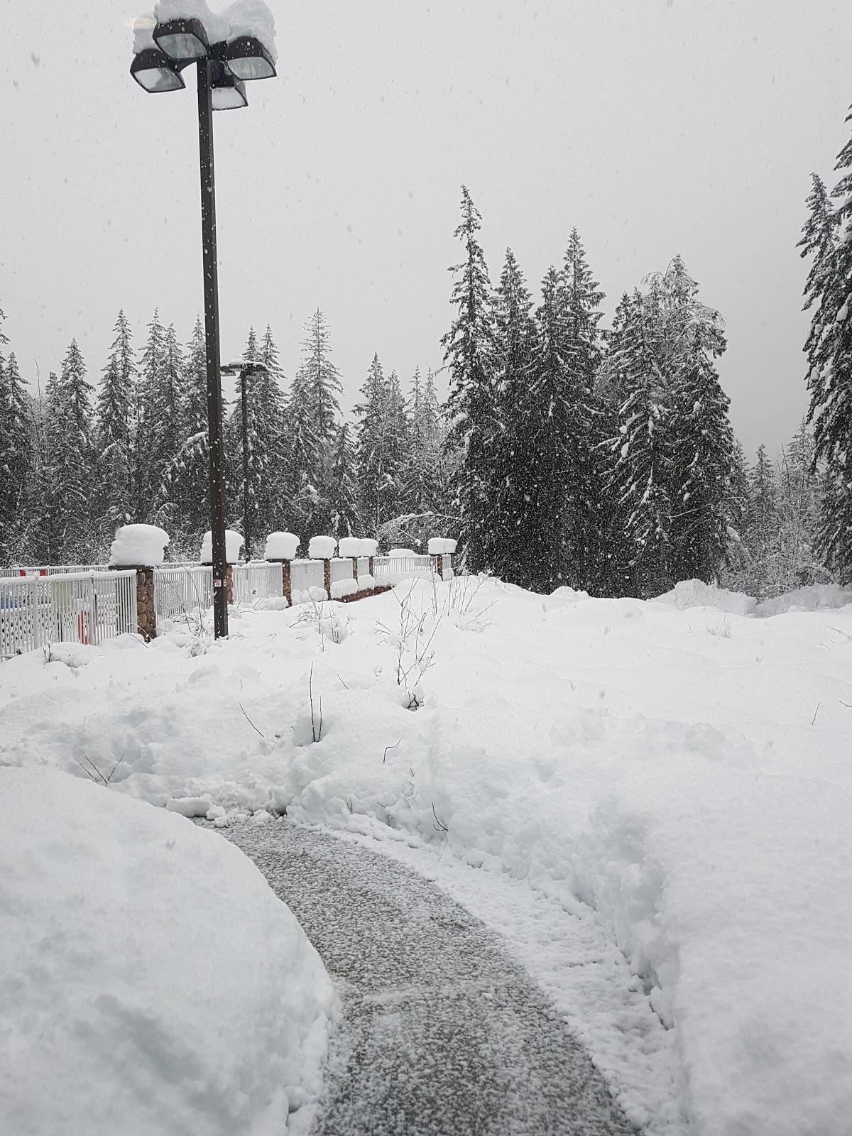 Emplacements avec branchements complets au camping Smokey Bear