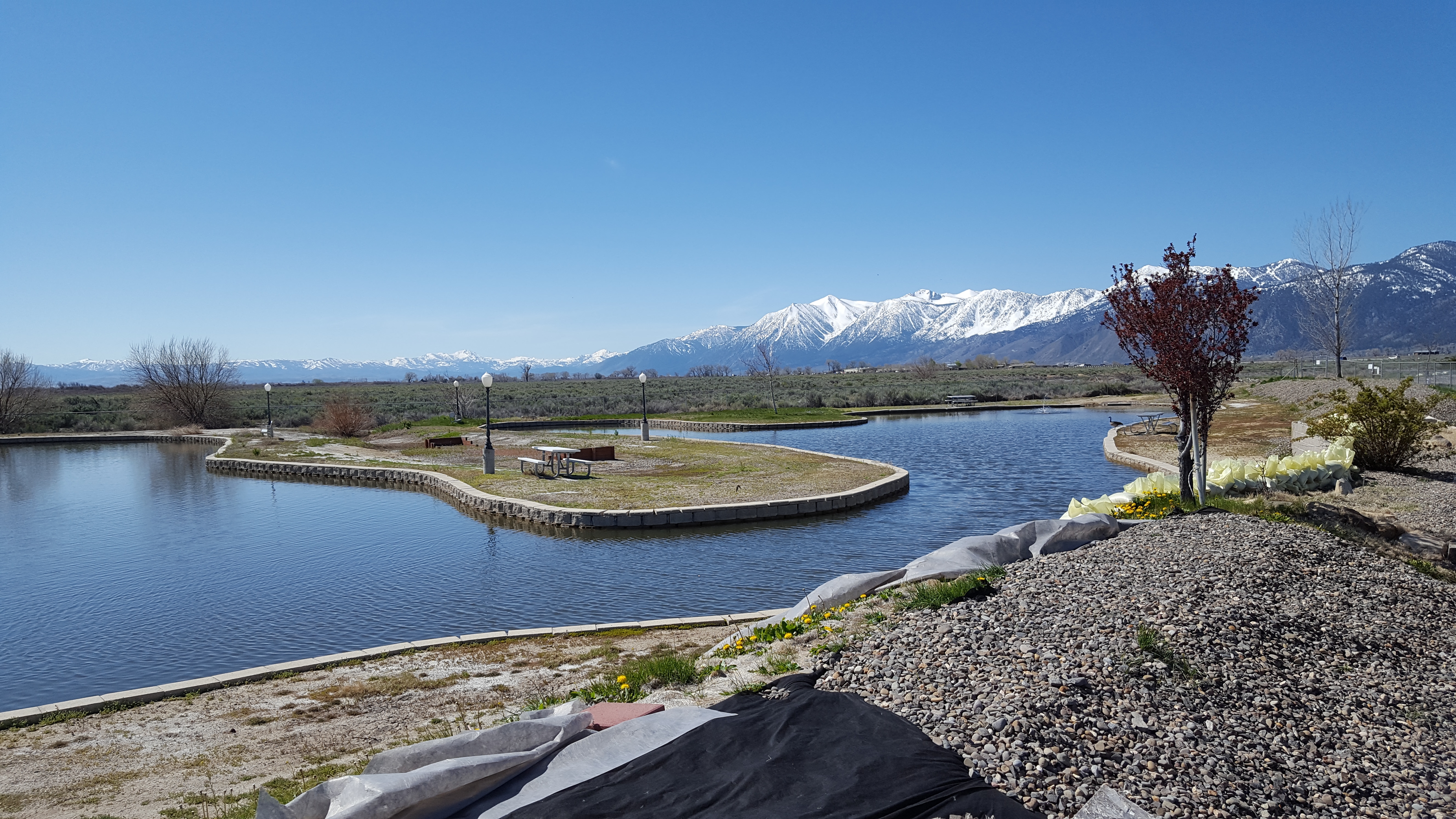 Silver City RV Resort with full hookup sites in Carson Valley