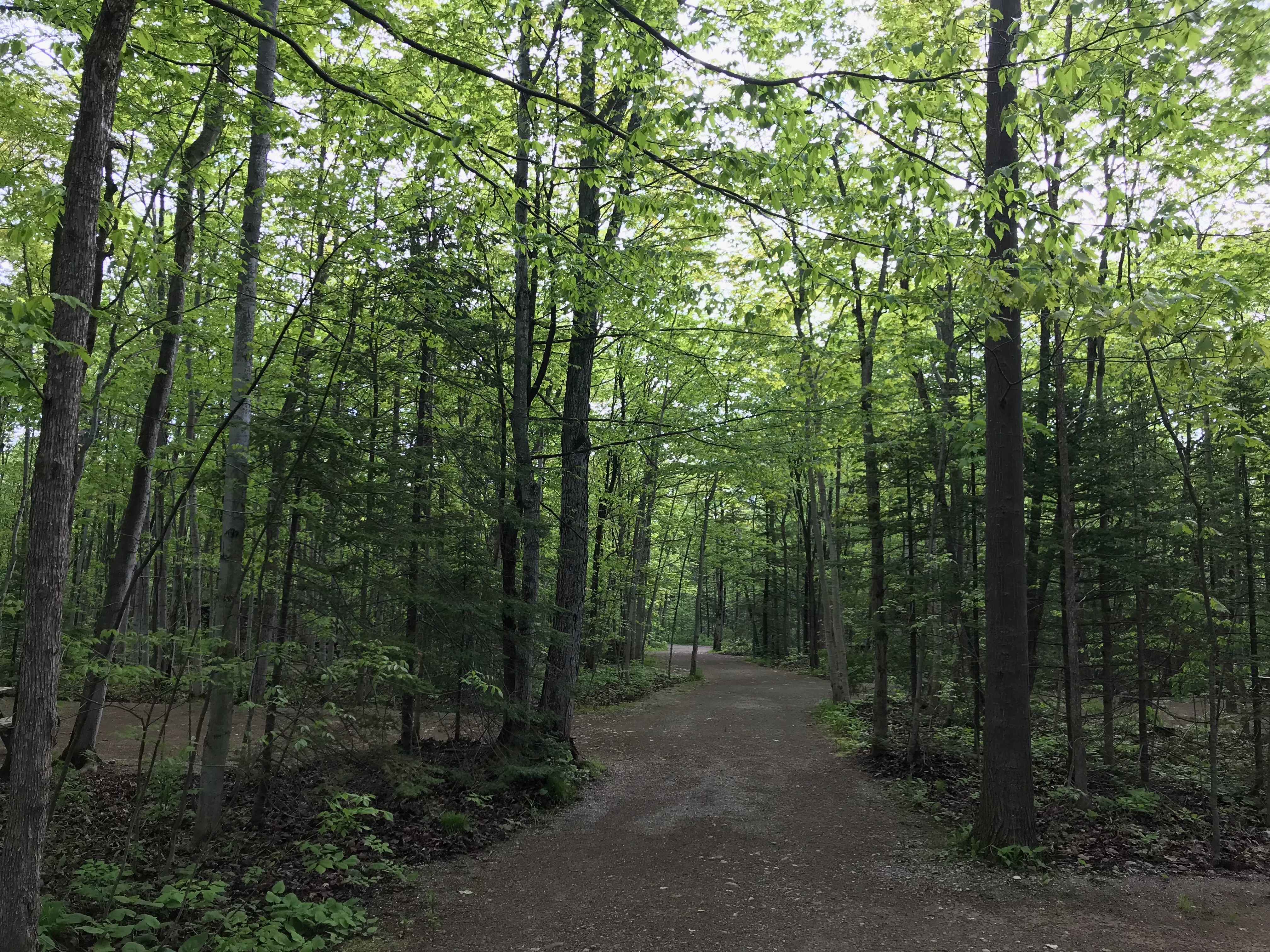 Harmony Acres campground entrance near Tobermory Ontario