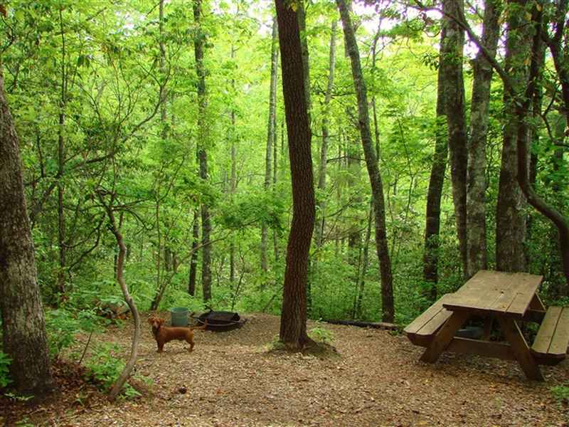 Cabines montagnées et camping au Ash Grove avec vues pittoresques
