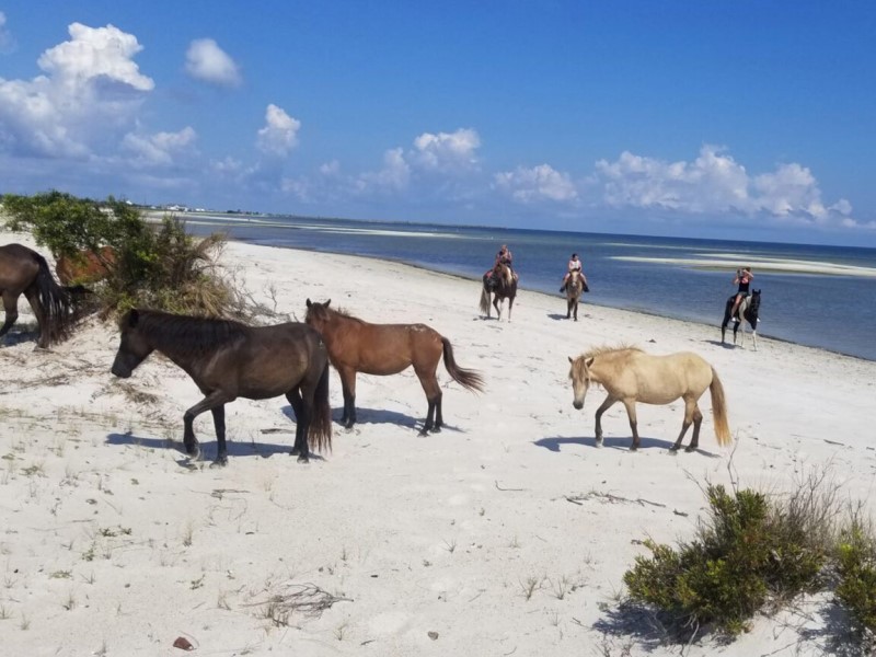 Cedar Island Ranch coastal setting