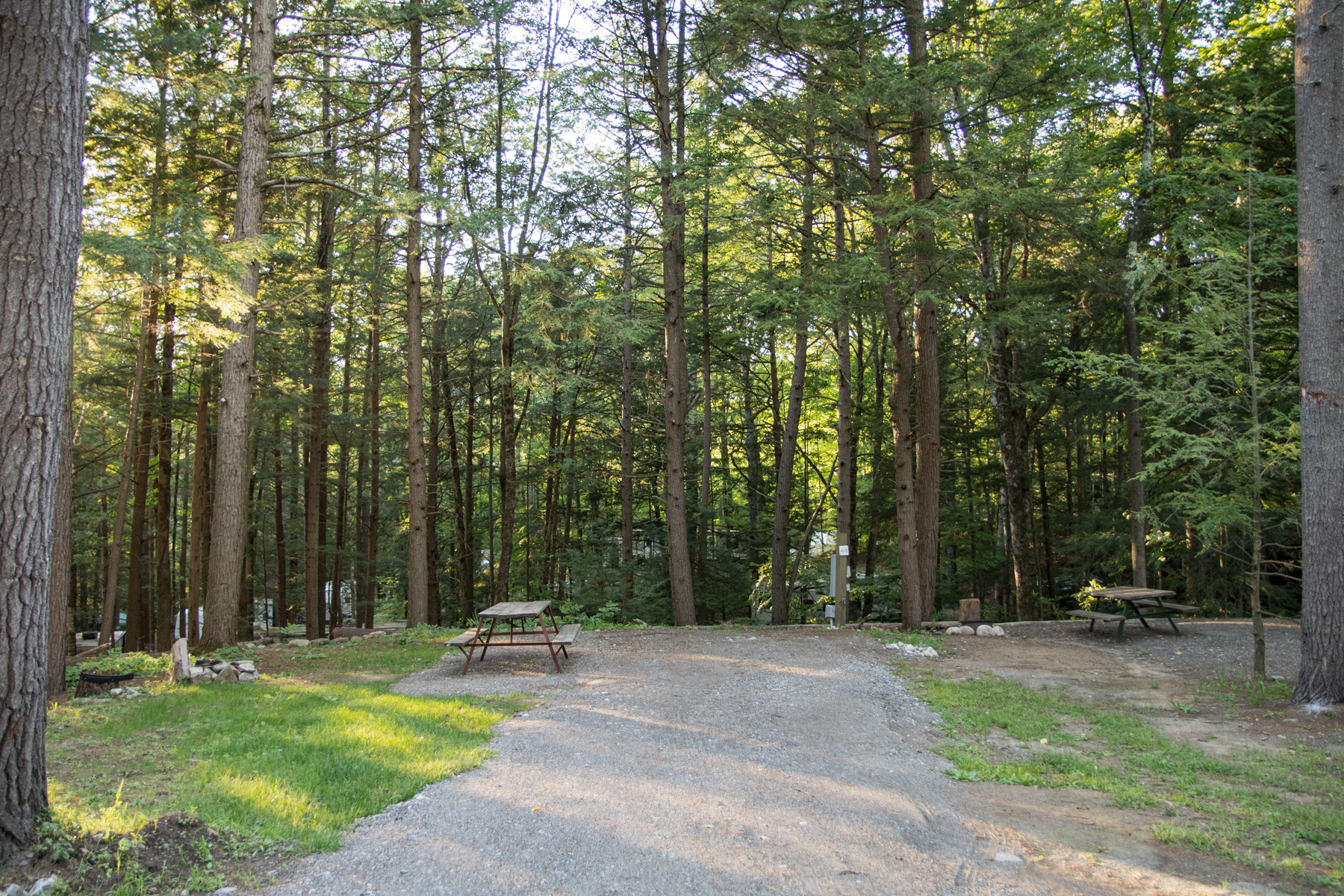 Brookwood RV Resort camping area with full hookup sites