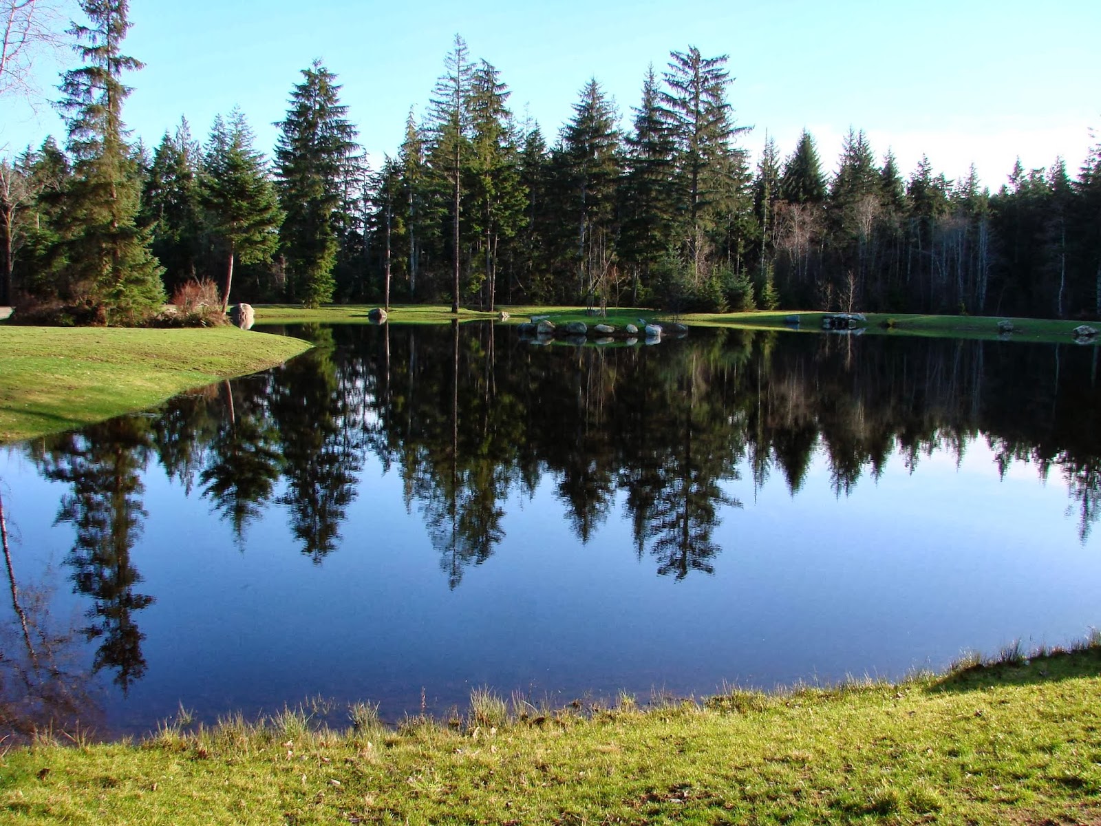 Seal Bay RV Park Courtenay