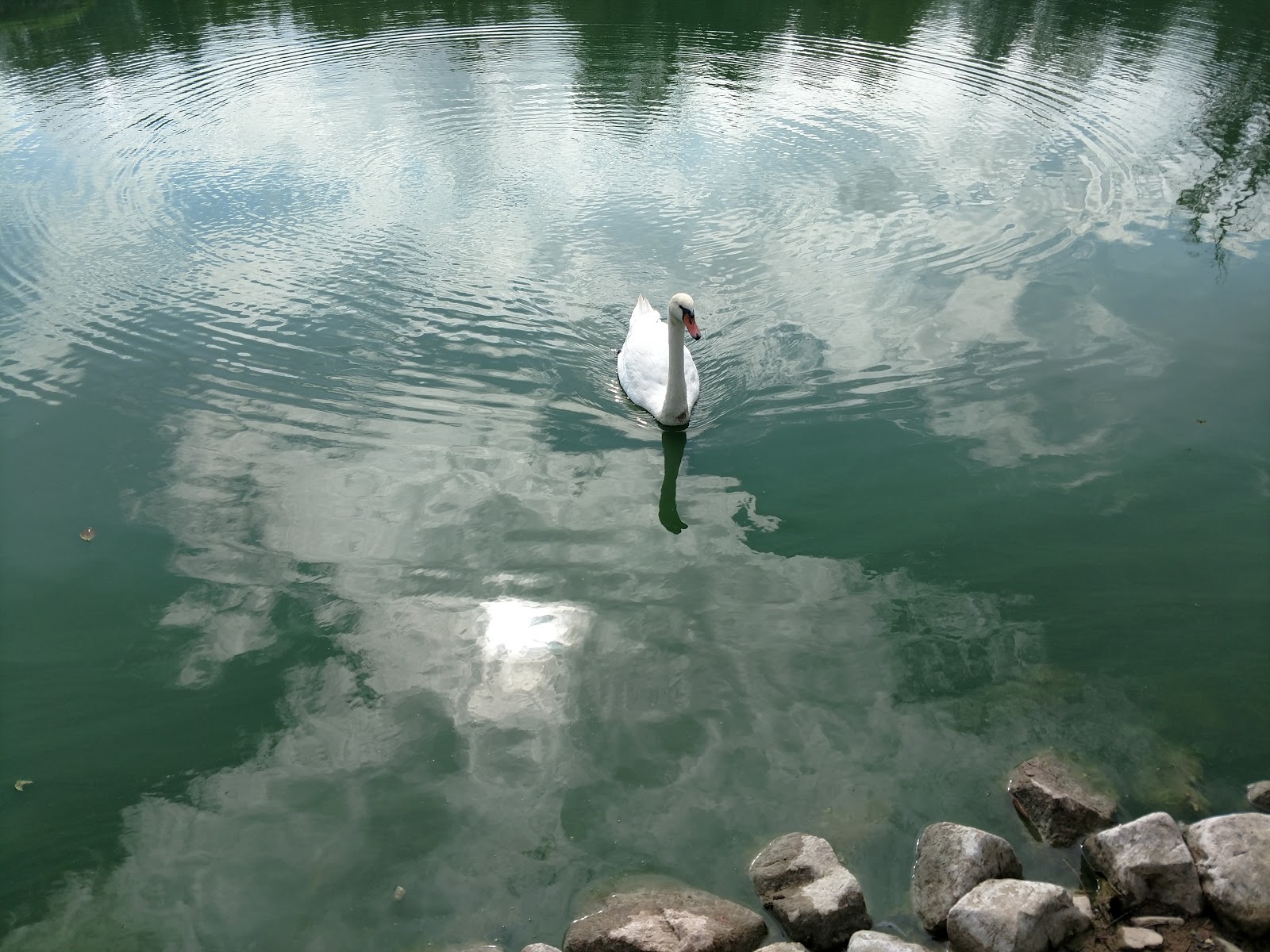 Around Pond RV Park Photos, caractéristiques et commodités Campings