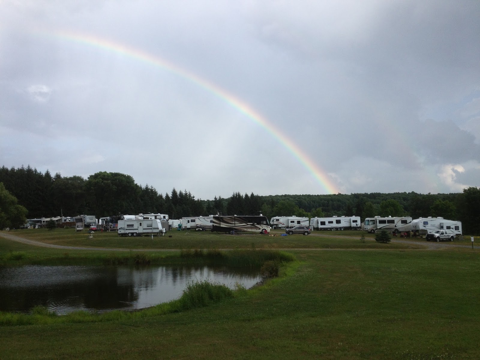 Shamrock Pines Campground main area