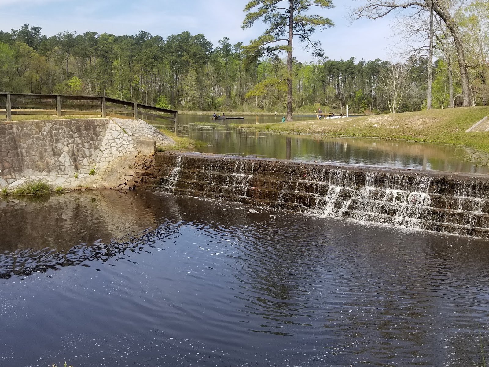 Barnwell State Park Pictures, Features & Amenities RVezy Campgrounds