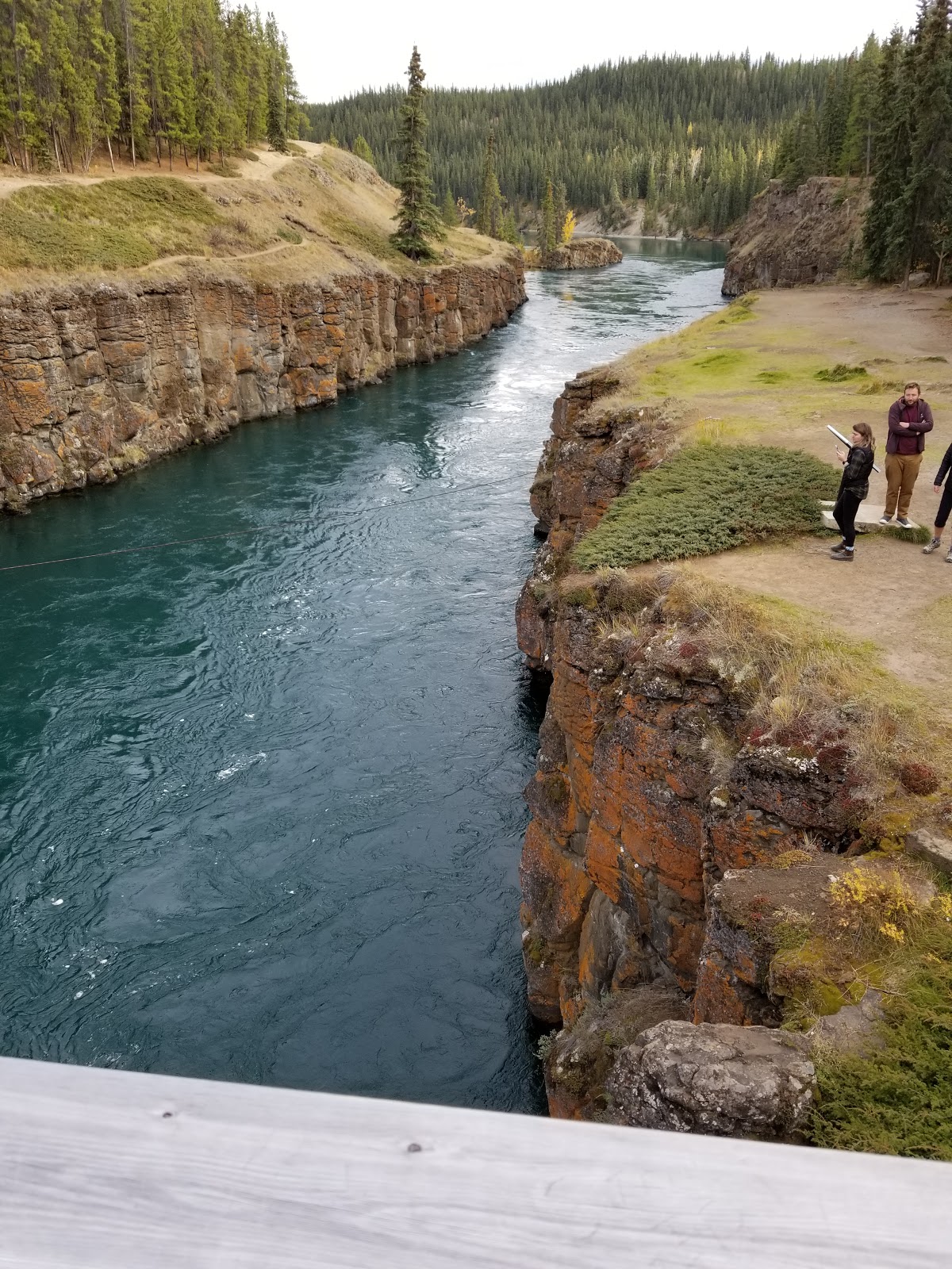 Pioneer RV Park sites VR bien entretenus