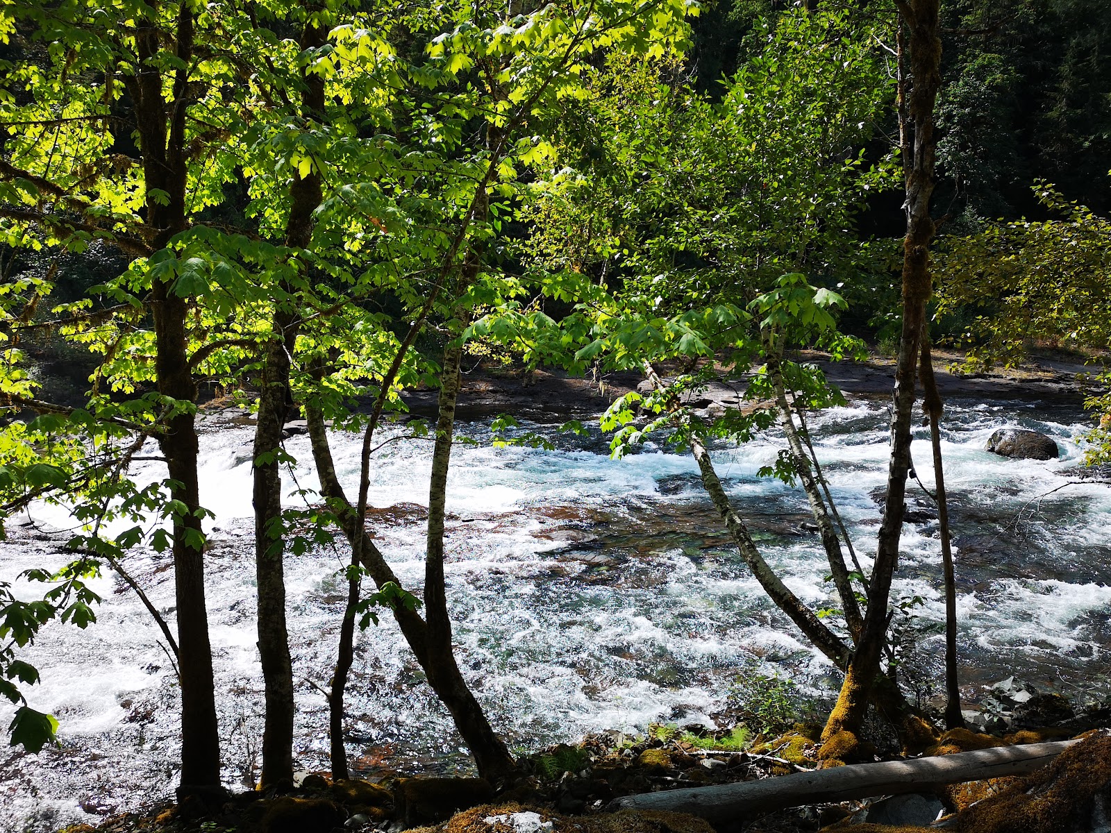 Stamp River Provincial Park