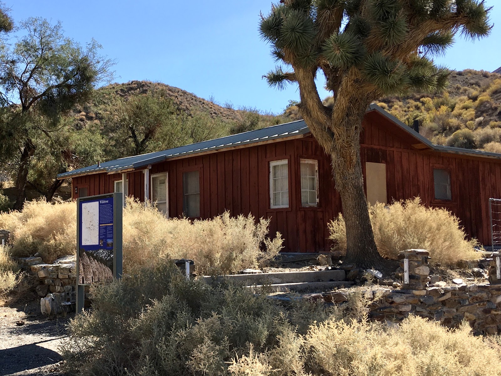 Wildrose Campground site