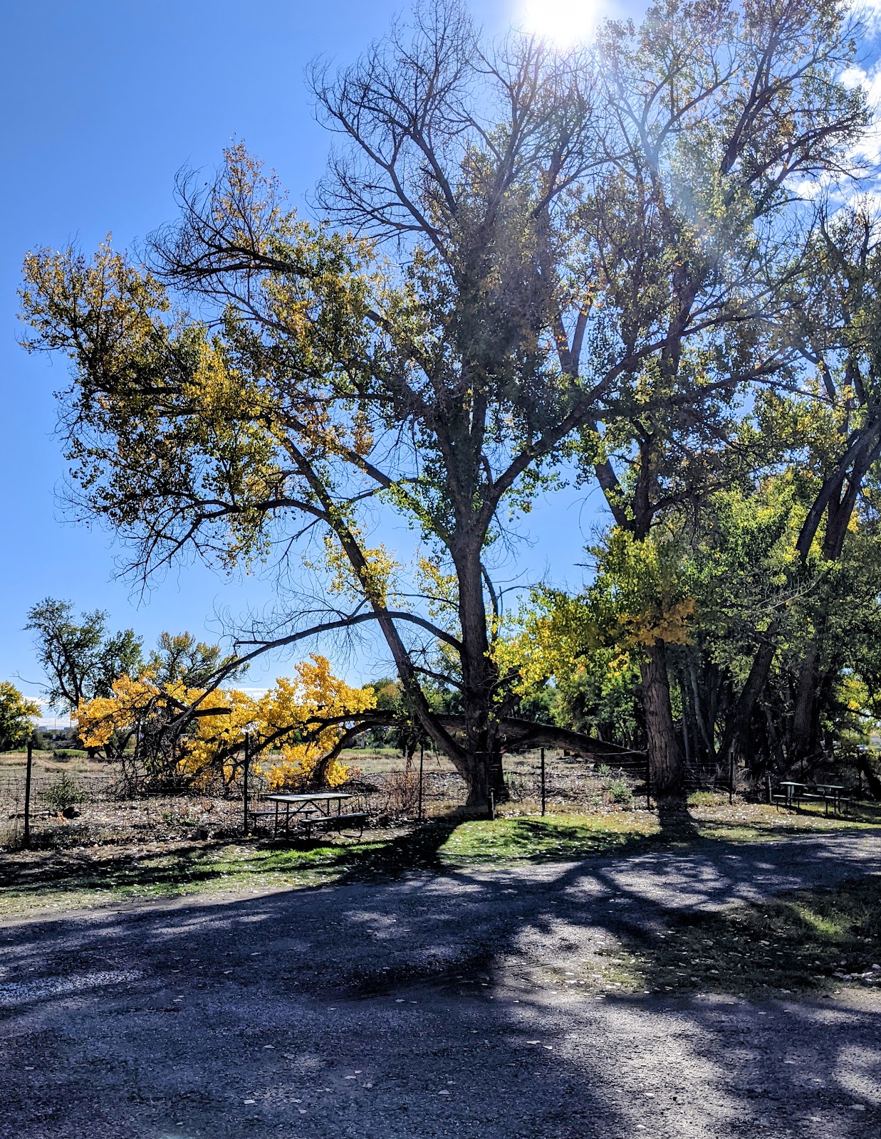 Shady Acres big rig sites