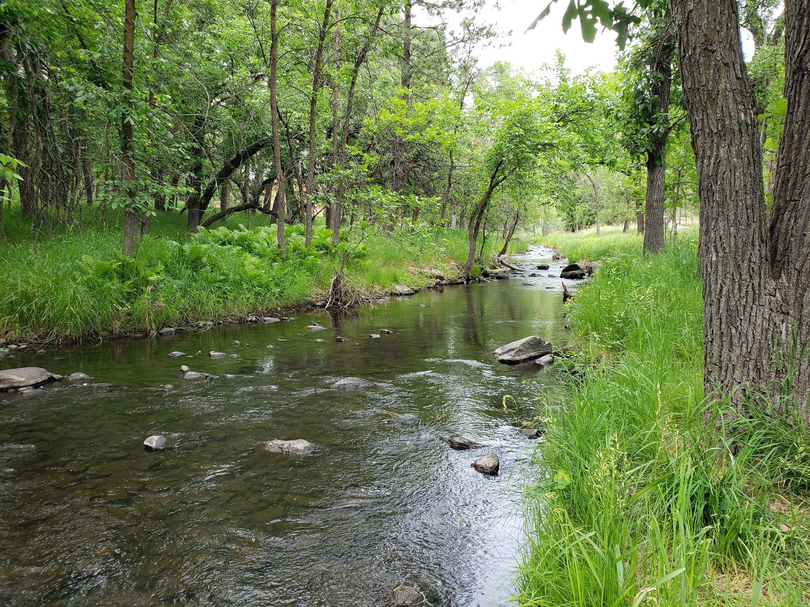 Game Lodge Campground in Custer State Park with scenic prairie setting