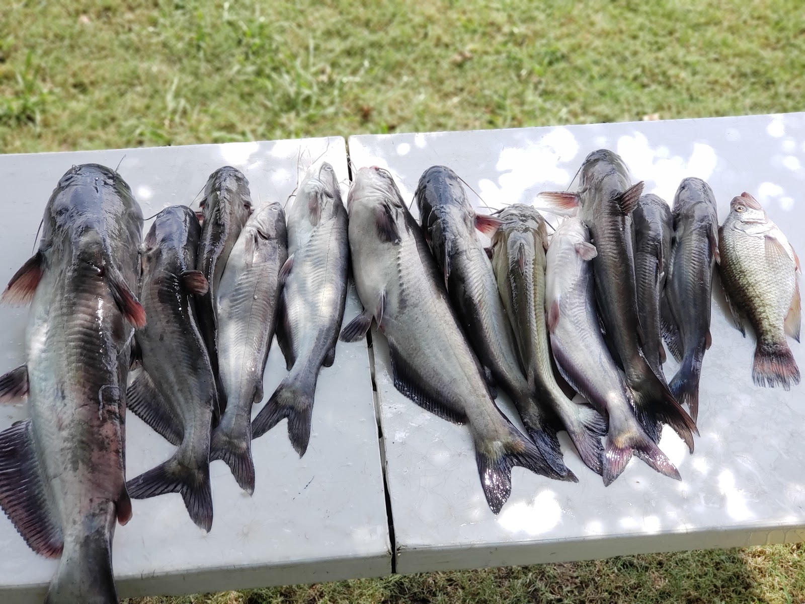 Fishing and RV camping at Fisherman's Point