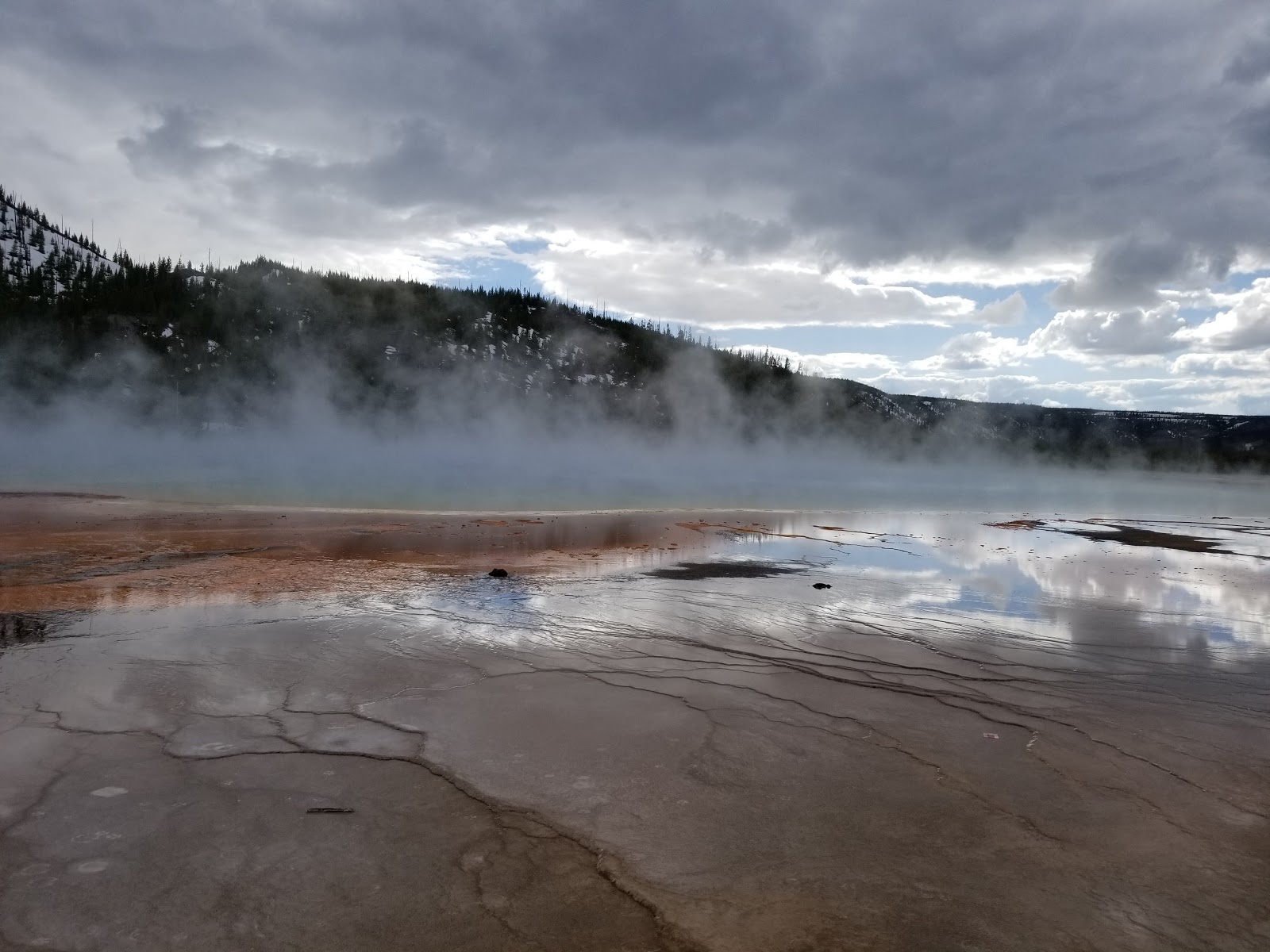 Parc VR Buffalo Crossing au centre-ville de West Yellowstone