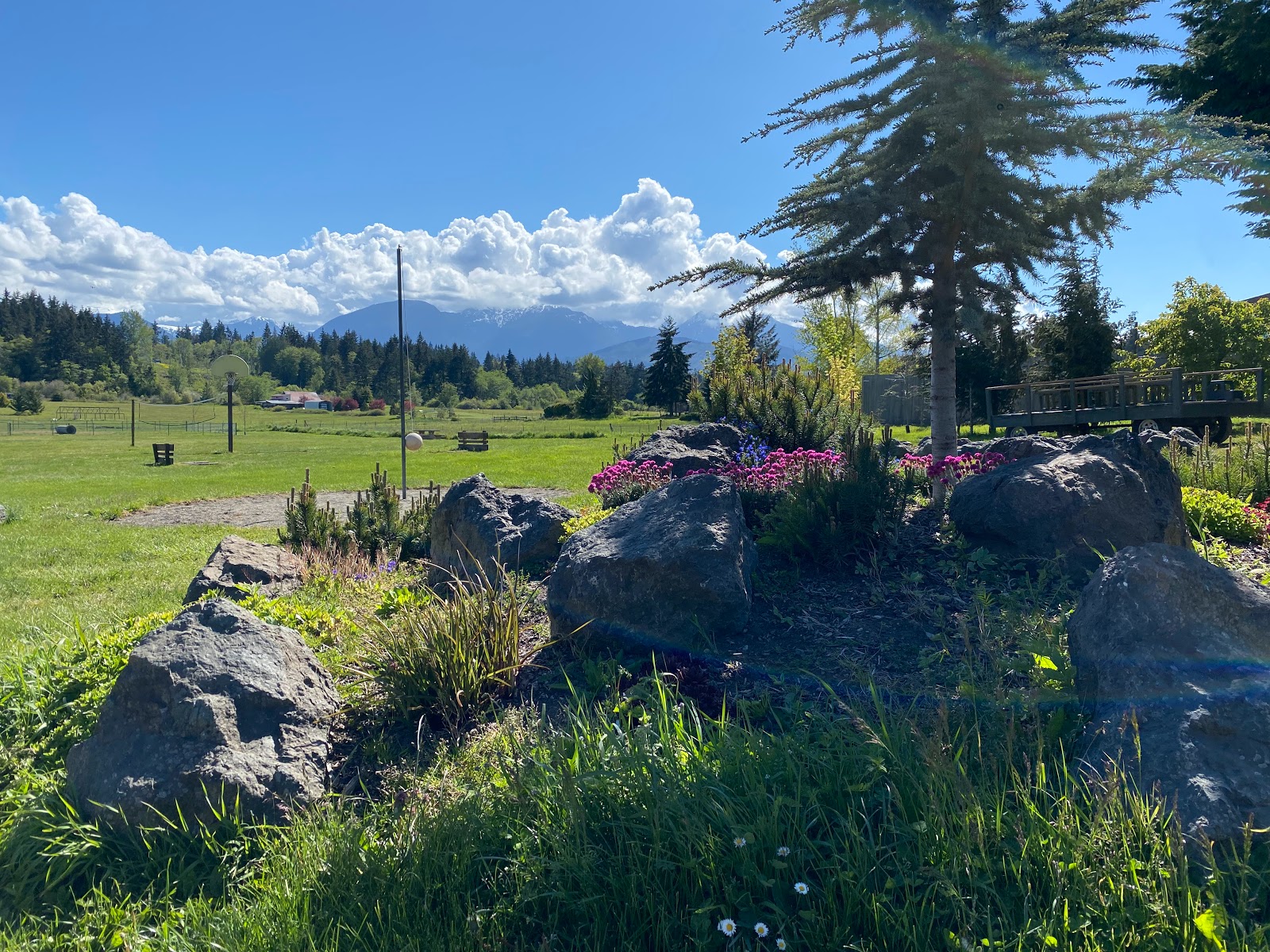 Port Angeles KOA with spacious RV camping sites