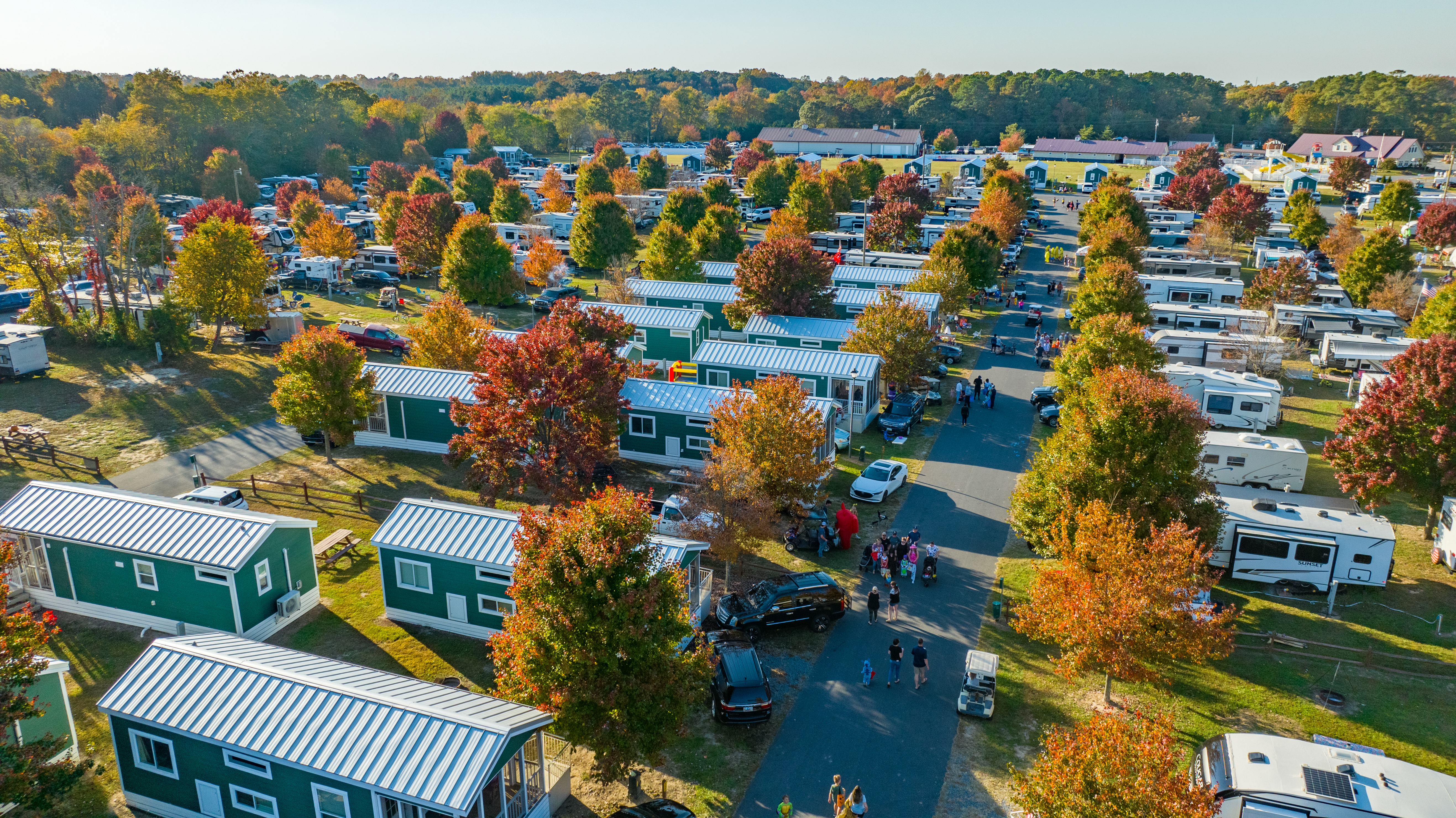 Yogi Bear’s Jellystone Park™ Camp-Resort: Delaware Beaches - Main photo
