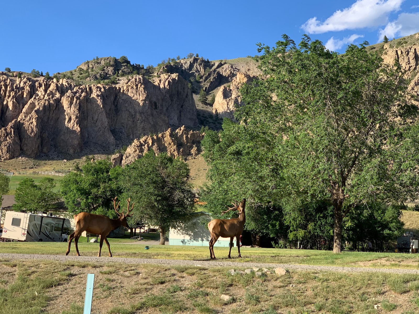 Camping Yellowstone Hot Springs avec bassins géothermiques