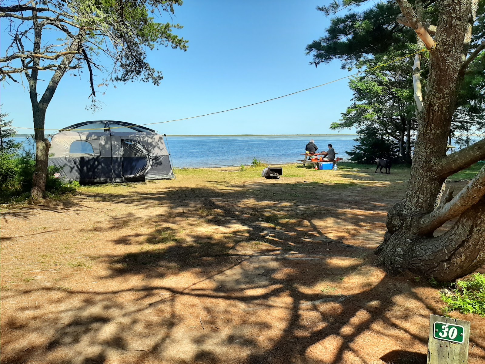 Cote A Fabien Campground Kouchibouguac National Park Pictures