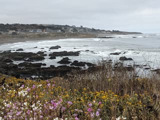 San Simeon coastal area with dramatic cliffs and scenic vistas