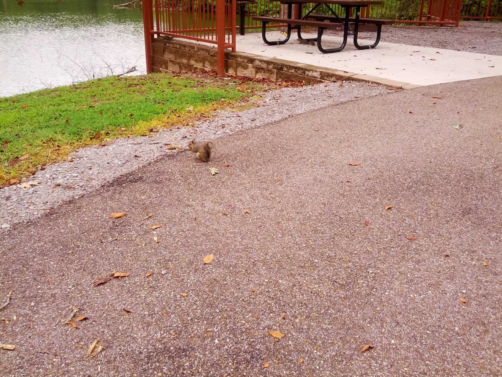 Bear Creek RV Park - campground installations