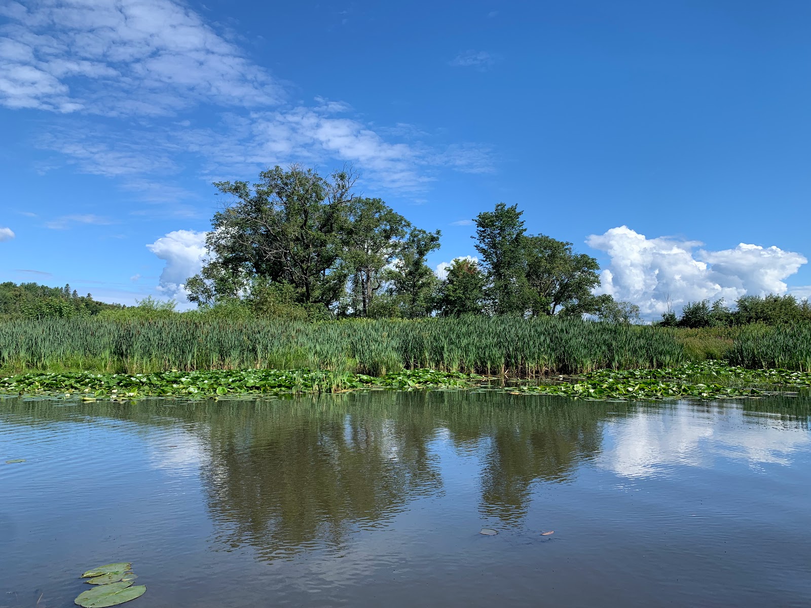 Terrains entretenus et emplacements VR de Camping Municipal De Beauport