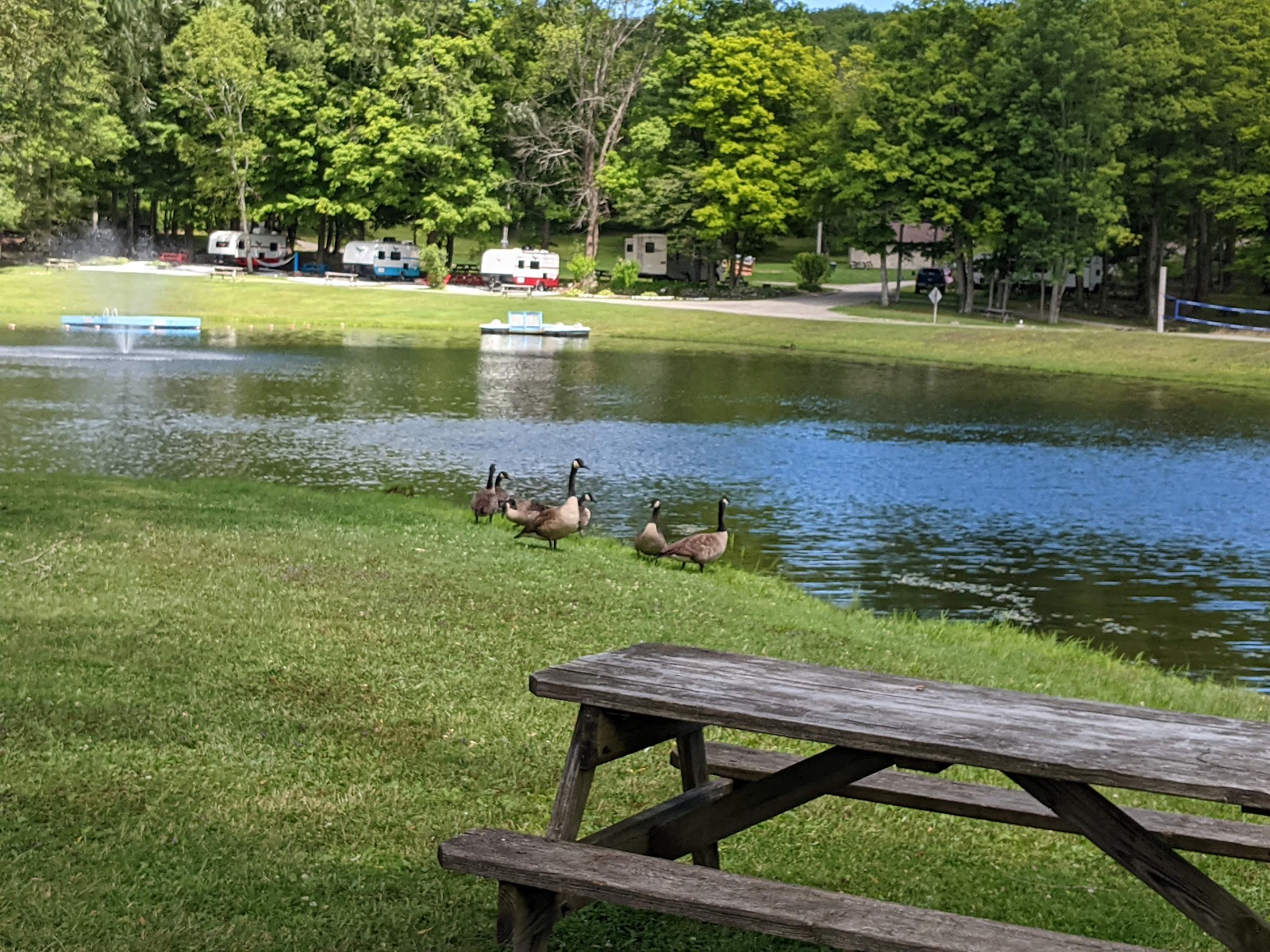 Spacious Skies Woodland Hills RV resort with full hookup sites