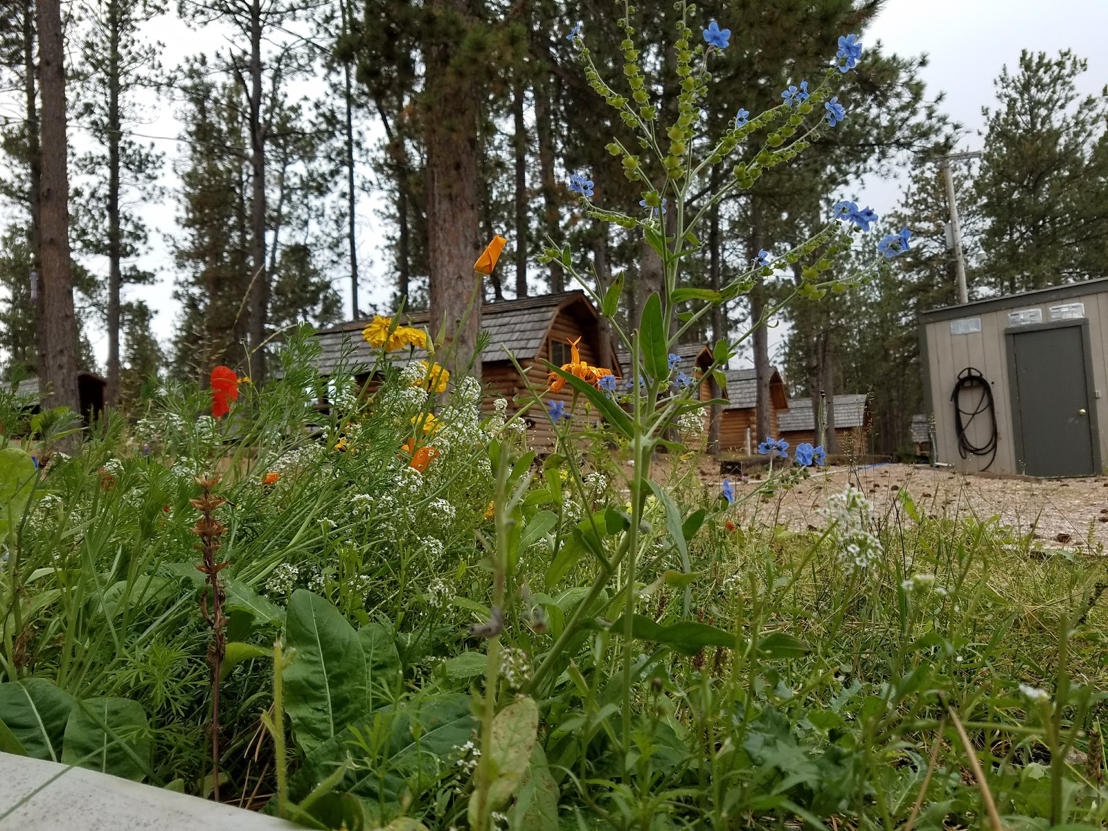 Custer KOA Holiday with full hookup RV sites