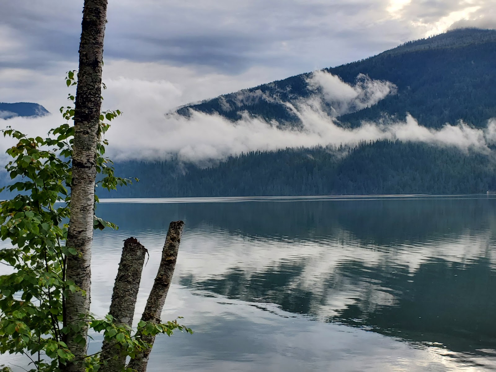 Mabel Lake with forested campsites