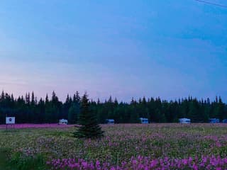 Happy Valley RV Camp near Ninilchik