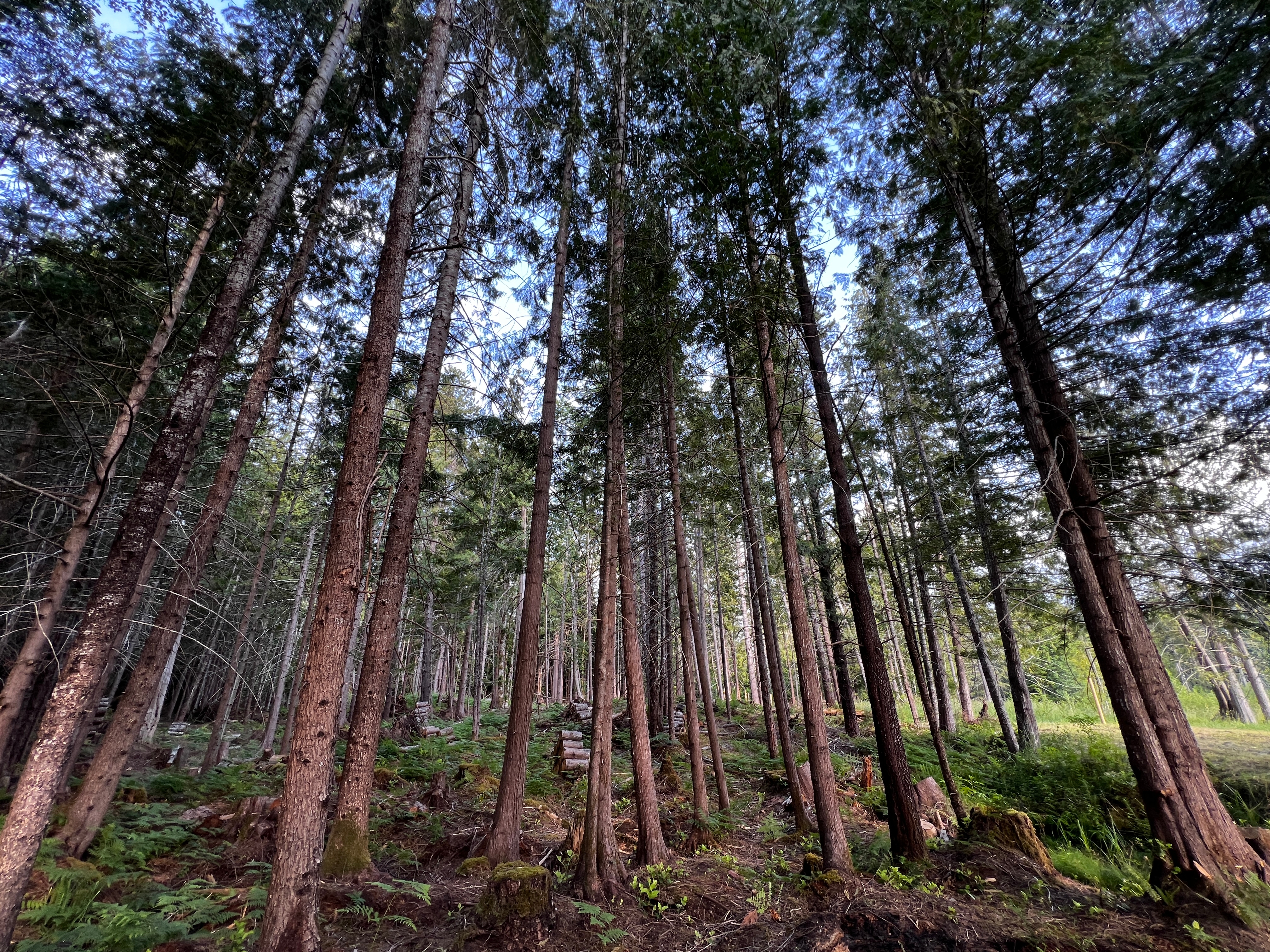 Lily Pond RV Qualicum Beach