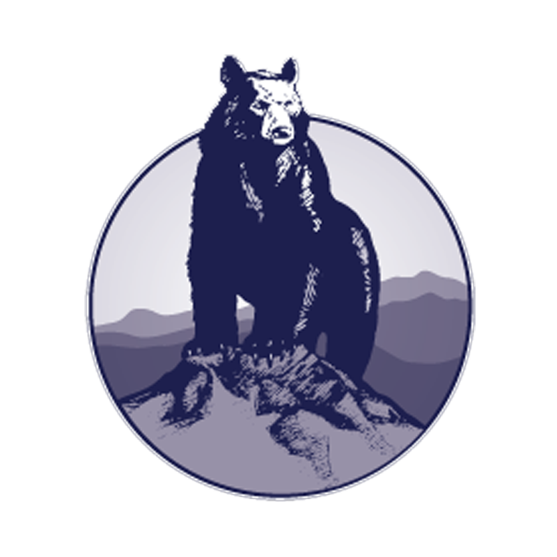 Emplacements VR de Blue Bear Mountain Camp avec toile de fond montagneux