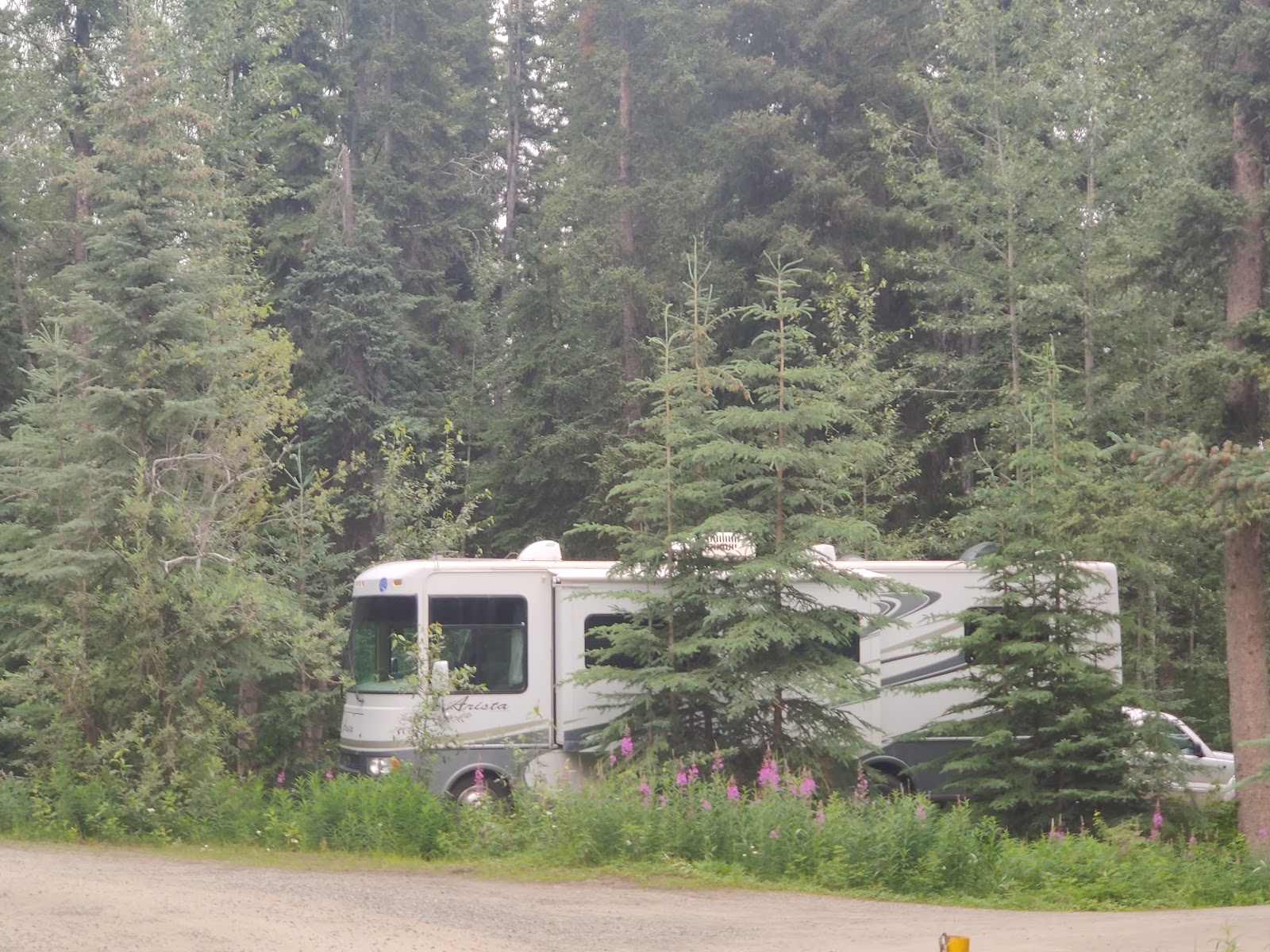 Wolf Creek Campground sites naturels boisés