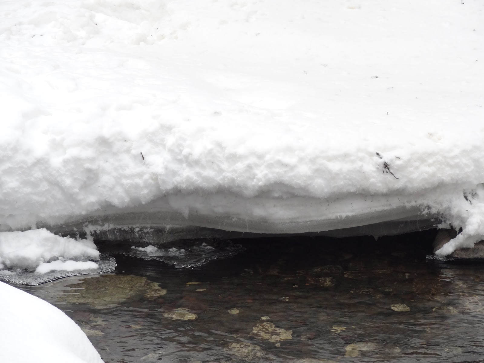 Cadre naturel du terrain de camping Pebble Creek