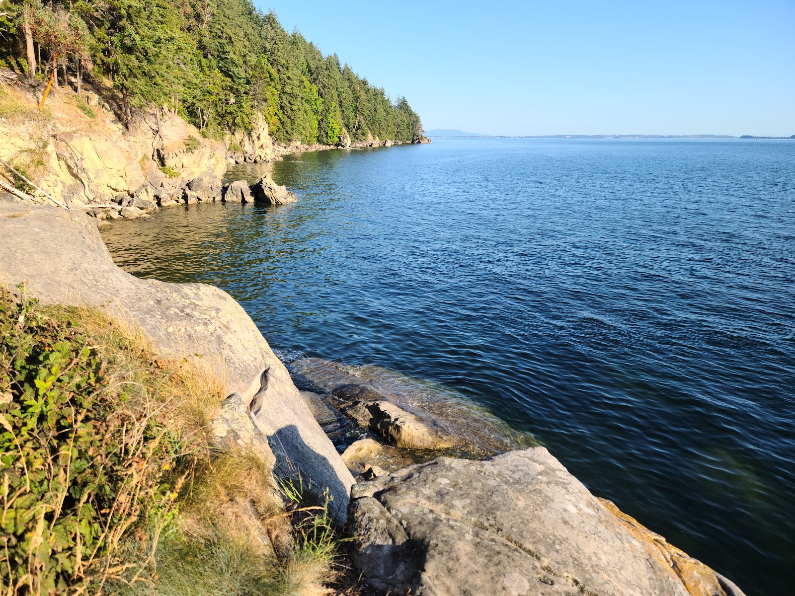 Larrabee State Park with coastal scenery