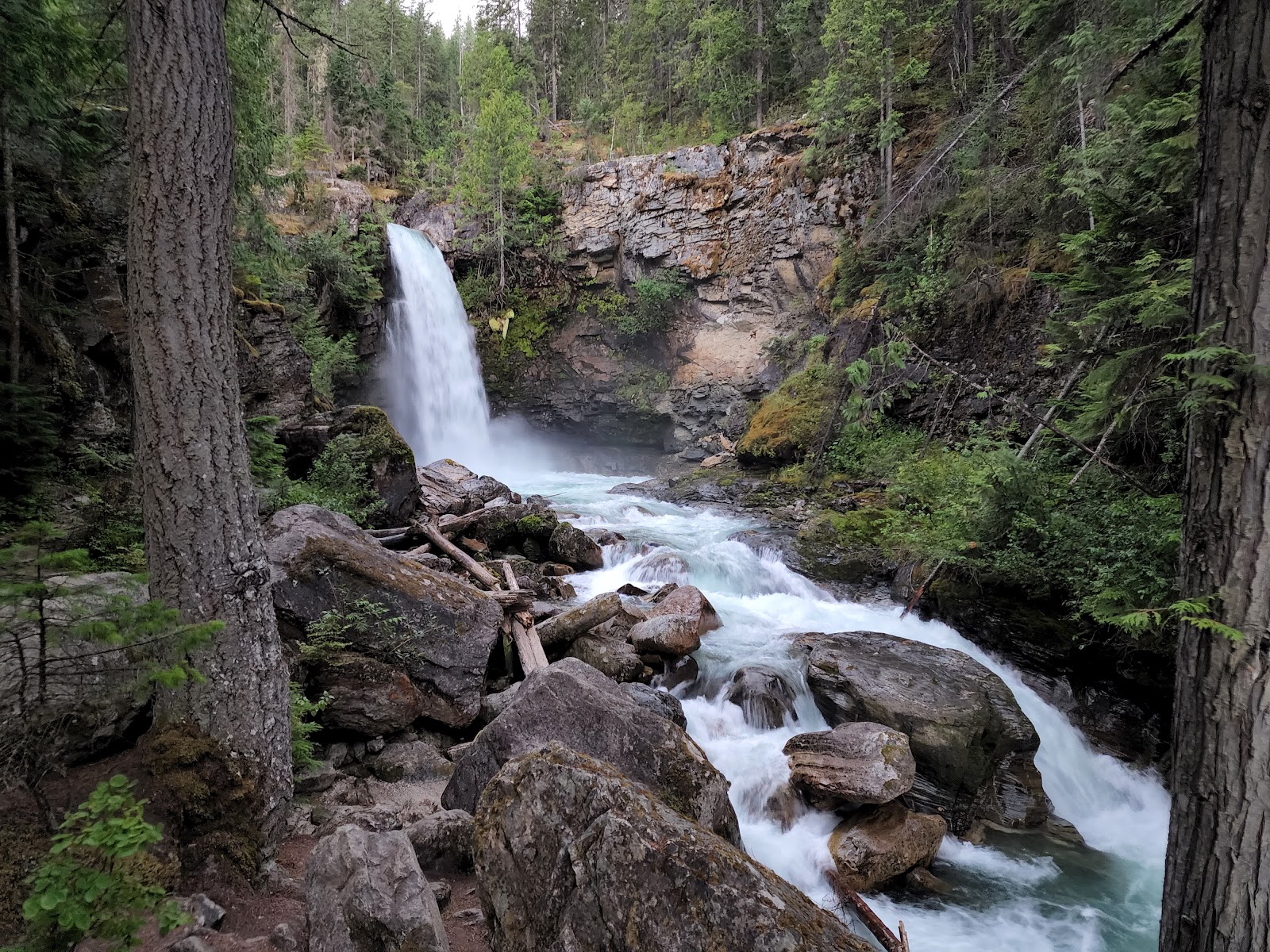 Emplacements forestiers au parc provincial Blanket Creek