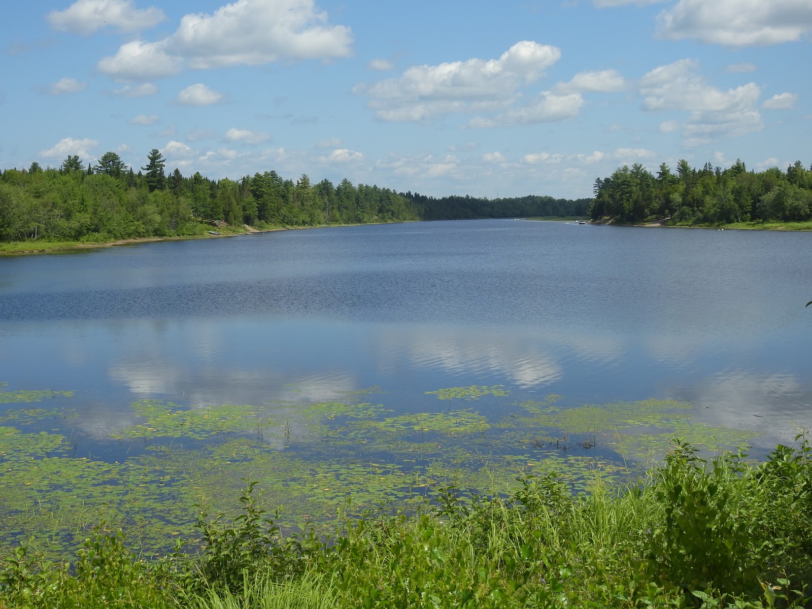 Parc gros roulants Iron Bound Cove