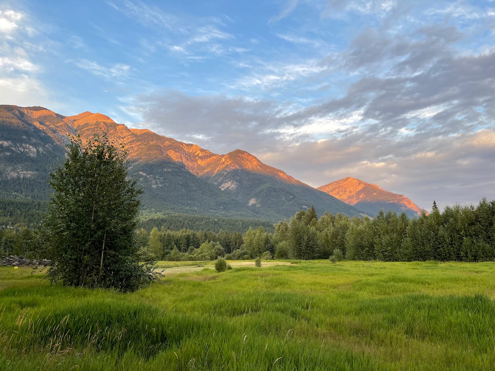 Emplacements VR au ranch Golden Eco Adventure