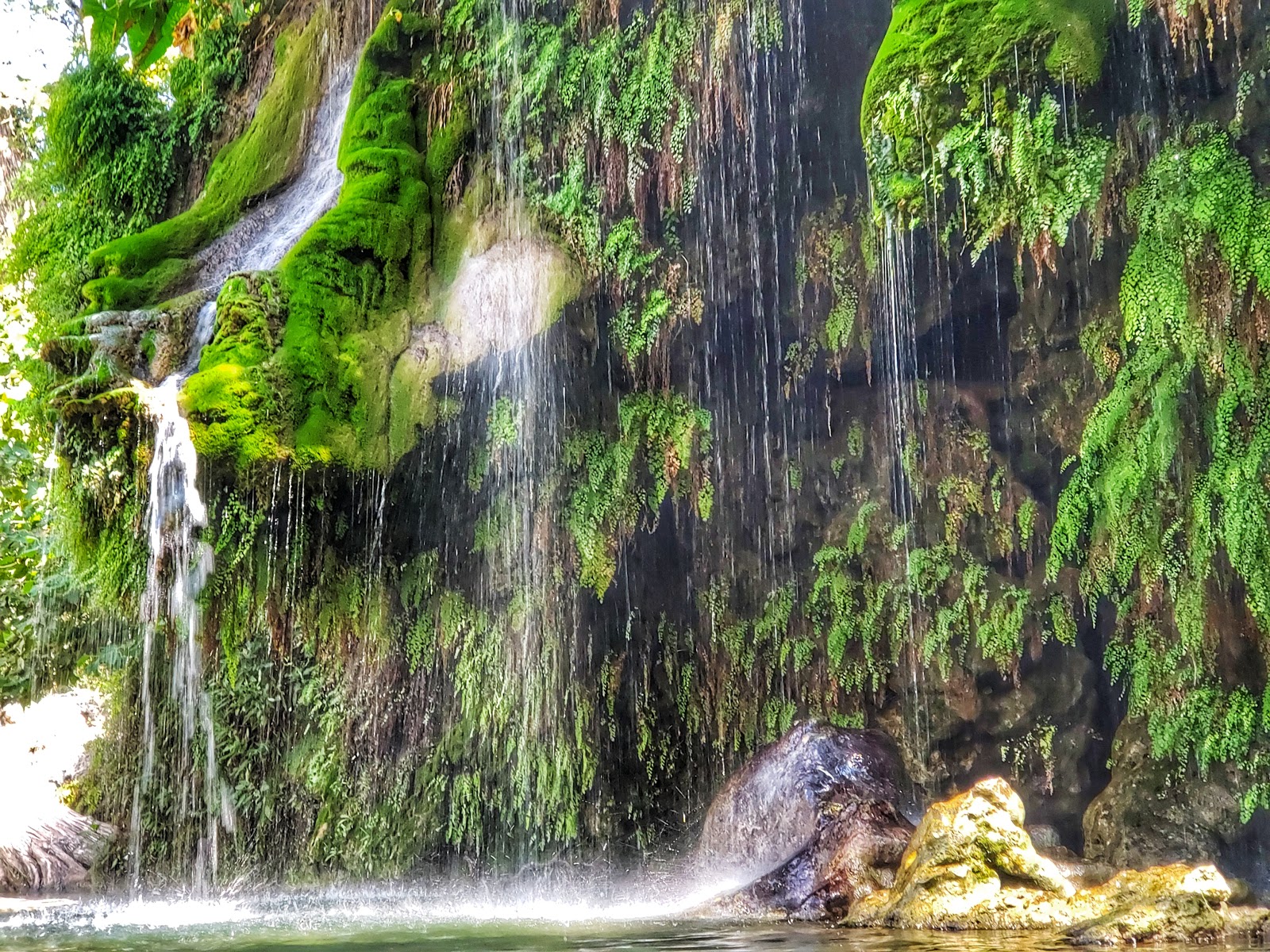 Krause Springs trou de baignade naturel et camping