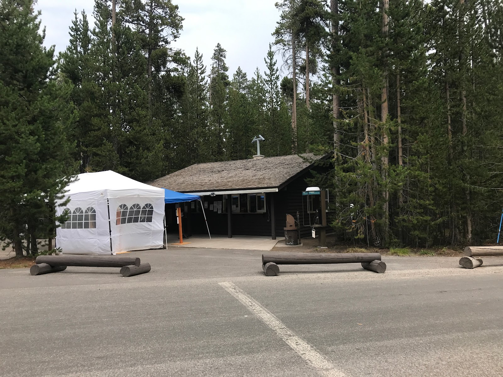 Terrain de camping Grant Village près du lac Yellowstone