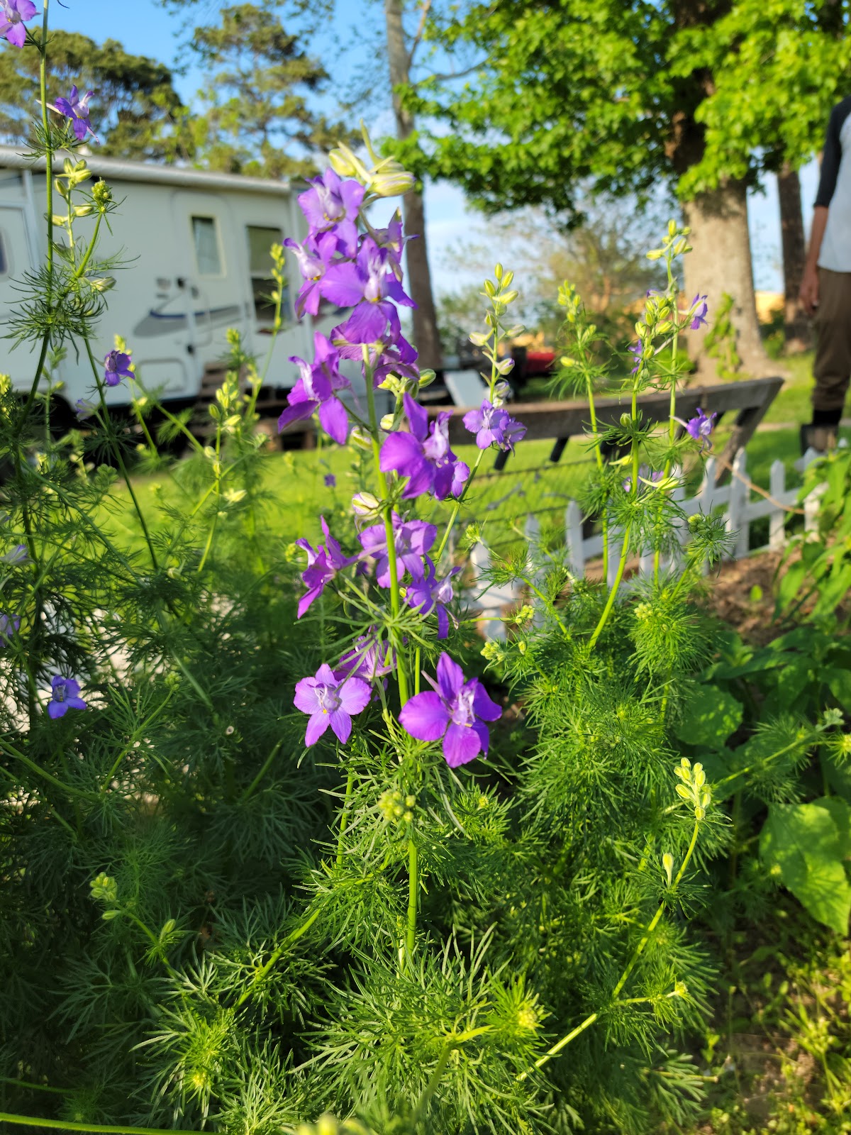 5 Star RV Park Pictures, Features & Amenities RVezy Campgrounds