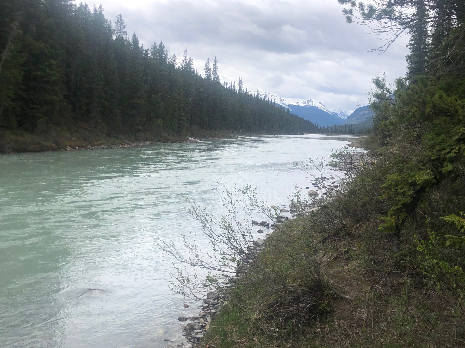 Terrain de camping sauvage Rampart Creek