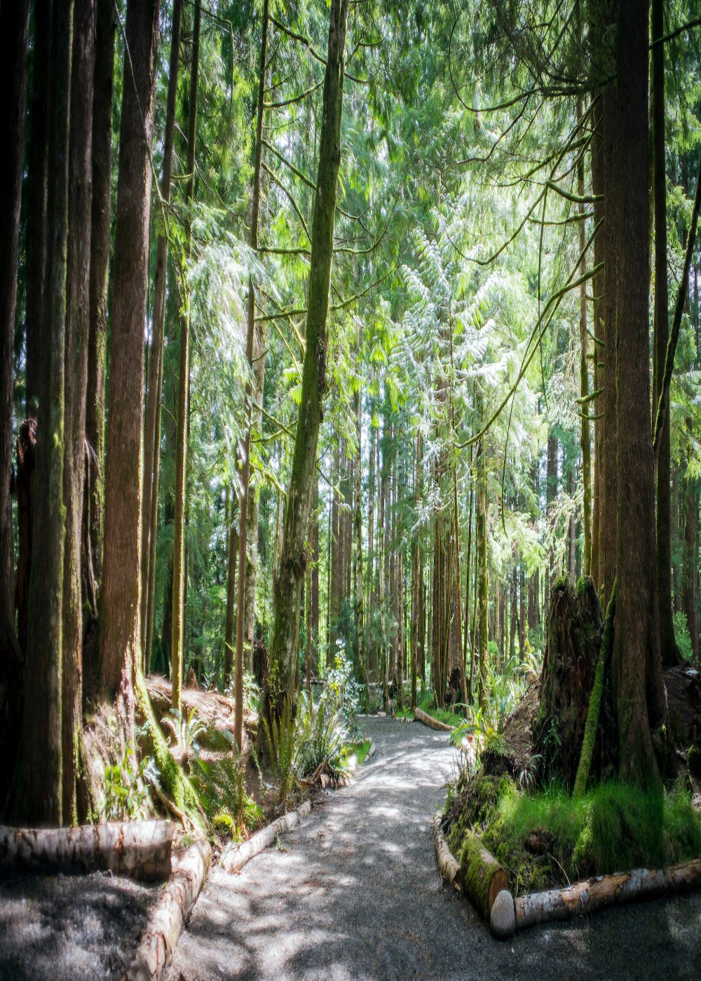 West Coast Campground Ucluelet