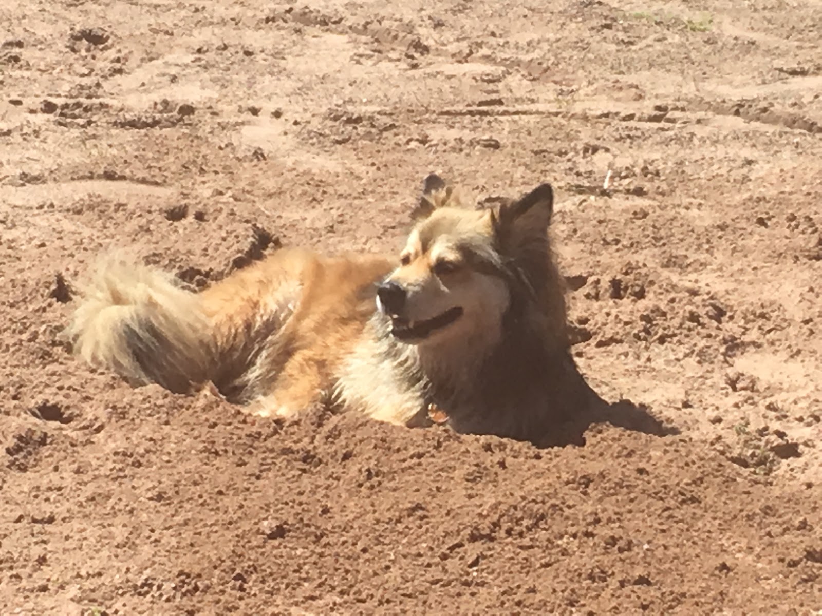 Lake Fanny Hooe Resort and Campground