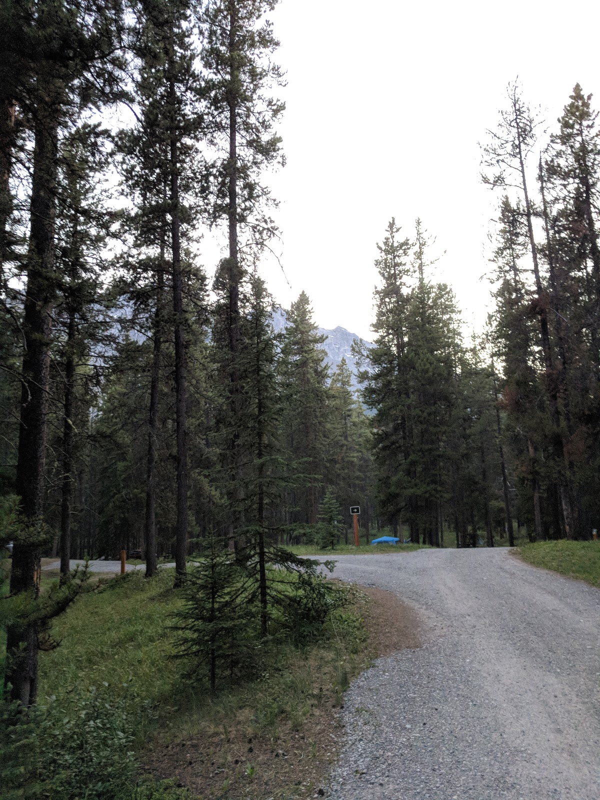 Cadre forestier du terrain de camping Two Jack Main