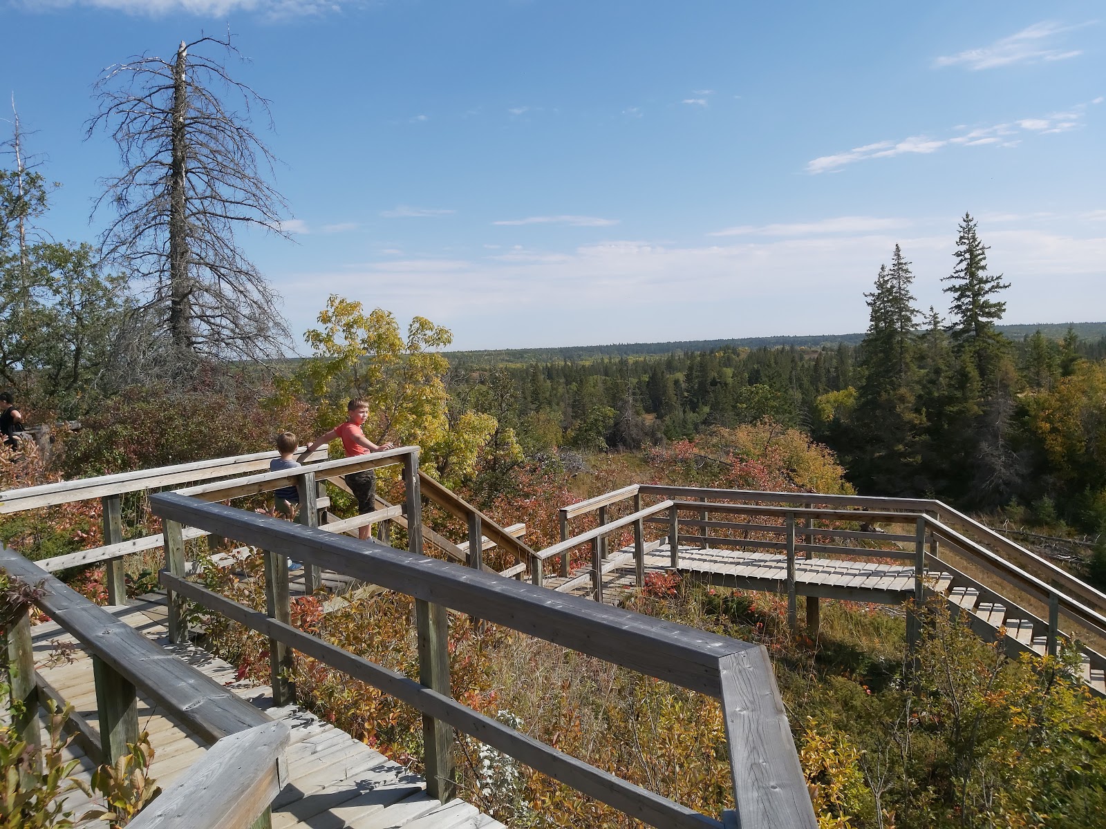 Terrain de camping Kiche Manitou dans le parc provincial Spruce Woods