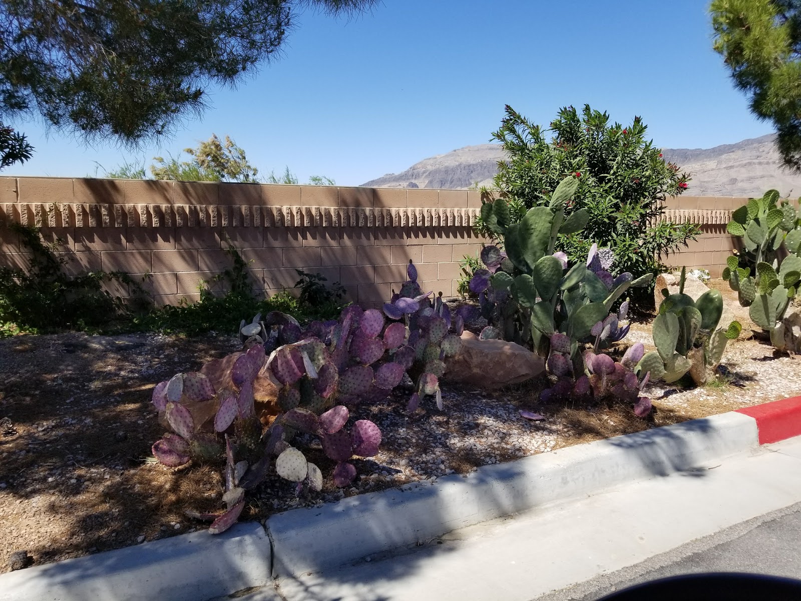 Nevada Treasure RV Resort full hookup site