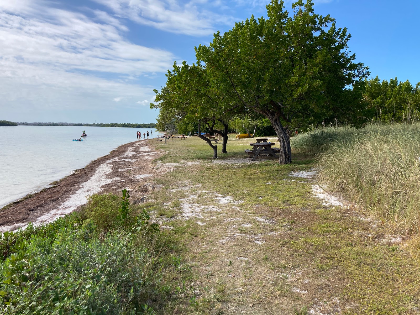 Curry Hammock State Park RV camping area with natural vegetation and hammock landscape in Marathon Keys