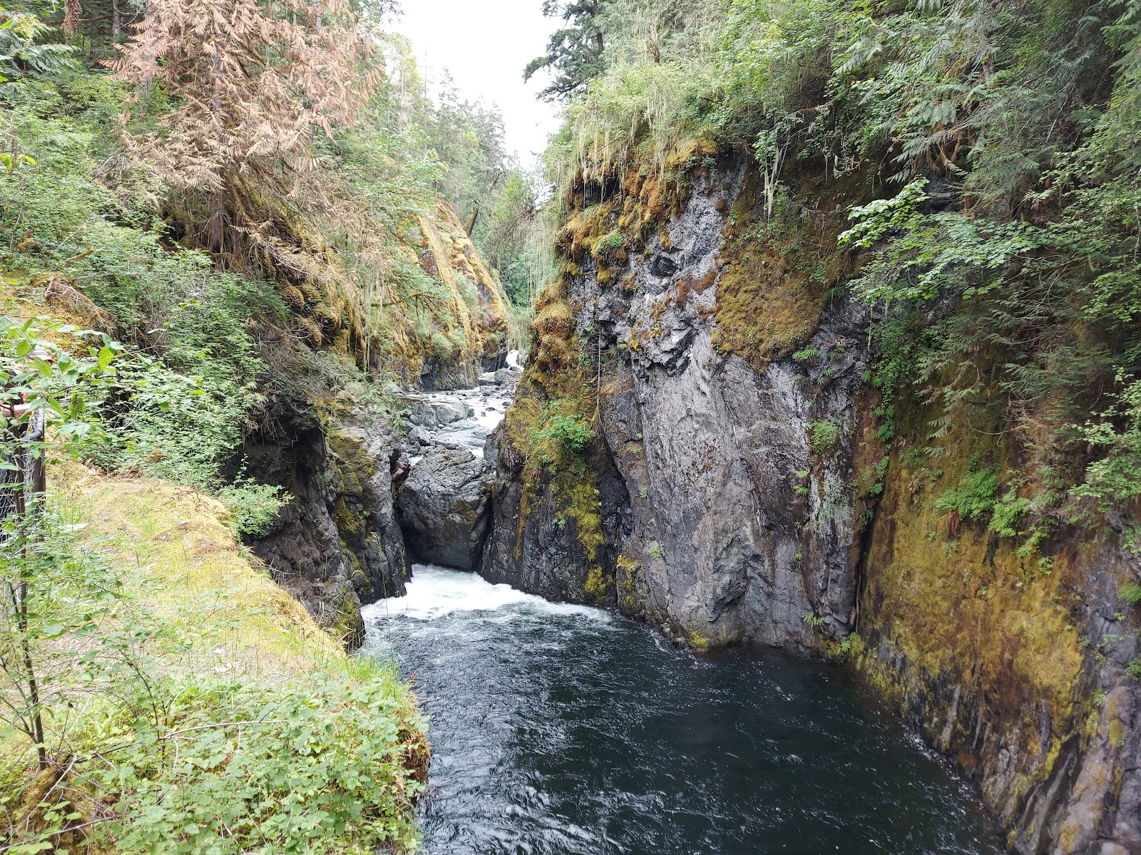 Englishman River Falls Provincial Park - Main photo